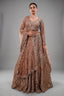 Rose Gold Beige Net Lehenga with Heavily Handcrafted Work