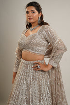 Champagne Gold Net Bridal Lehenga with Heavy Linear Sequin and Bead Embroidery