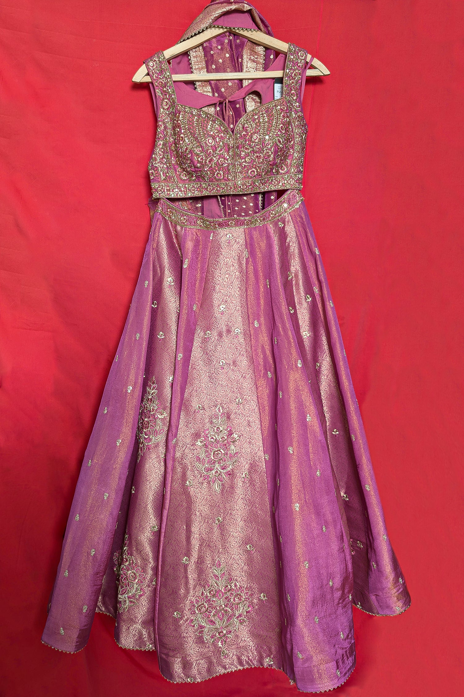 Pink Tissue Woven Panelled Lehenga