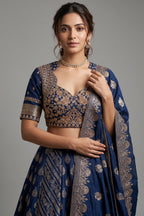 Blue Chinon Woven Lehenga