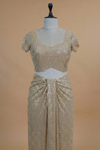 Beige Net Half and Half Designer Saree with Sequins and Cutdana Work - beige net saree