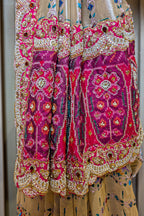Golden Tissue Traditional Bird Motif Saree with Handwork Patola Pallu and Border