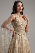 Cream Net Designer Sequinned Gown - cream net saree