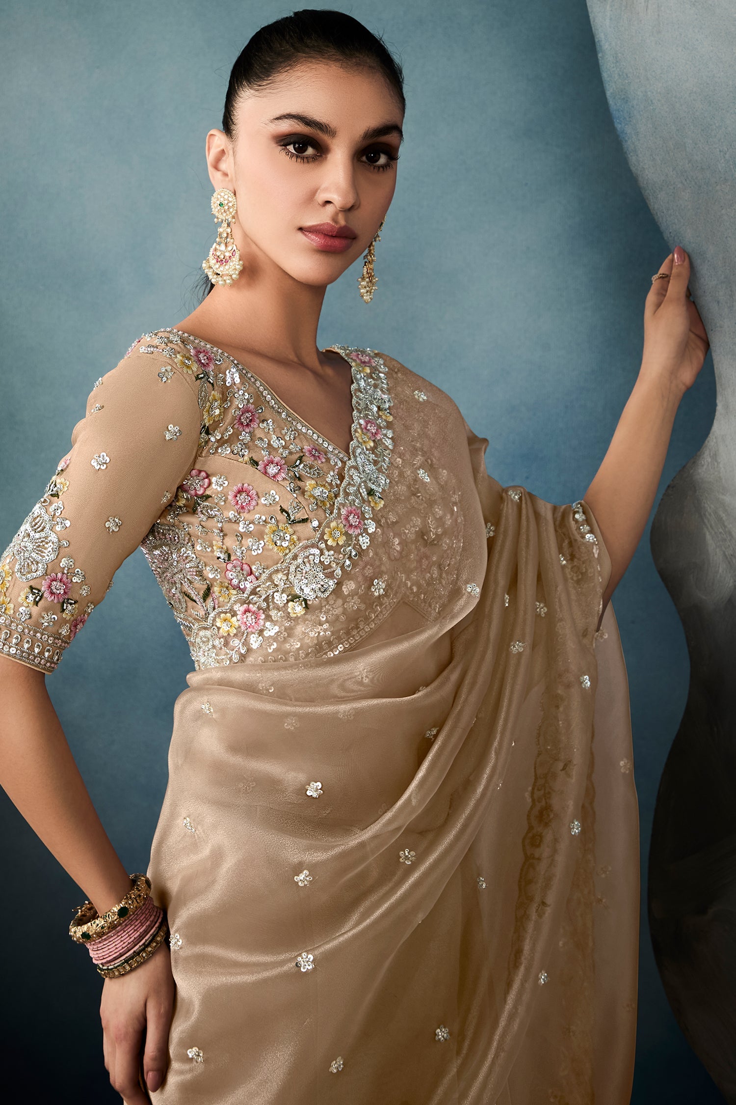Light Brown Organza Tissue Saree with Floral Embroidery and Sequin Work