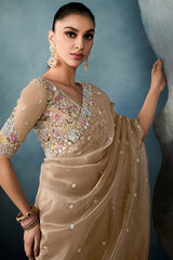 Light Brown Organza Tissue Saree with Floral Embroidery and Sequin Work