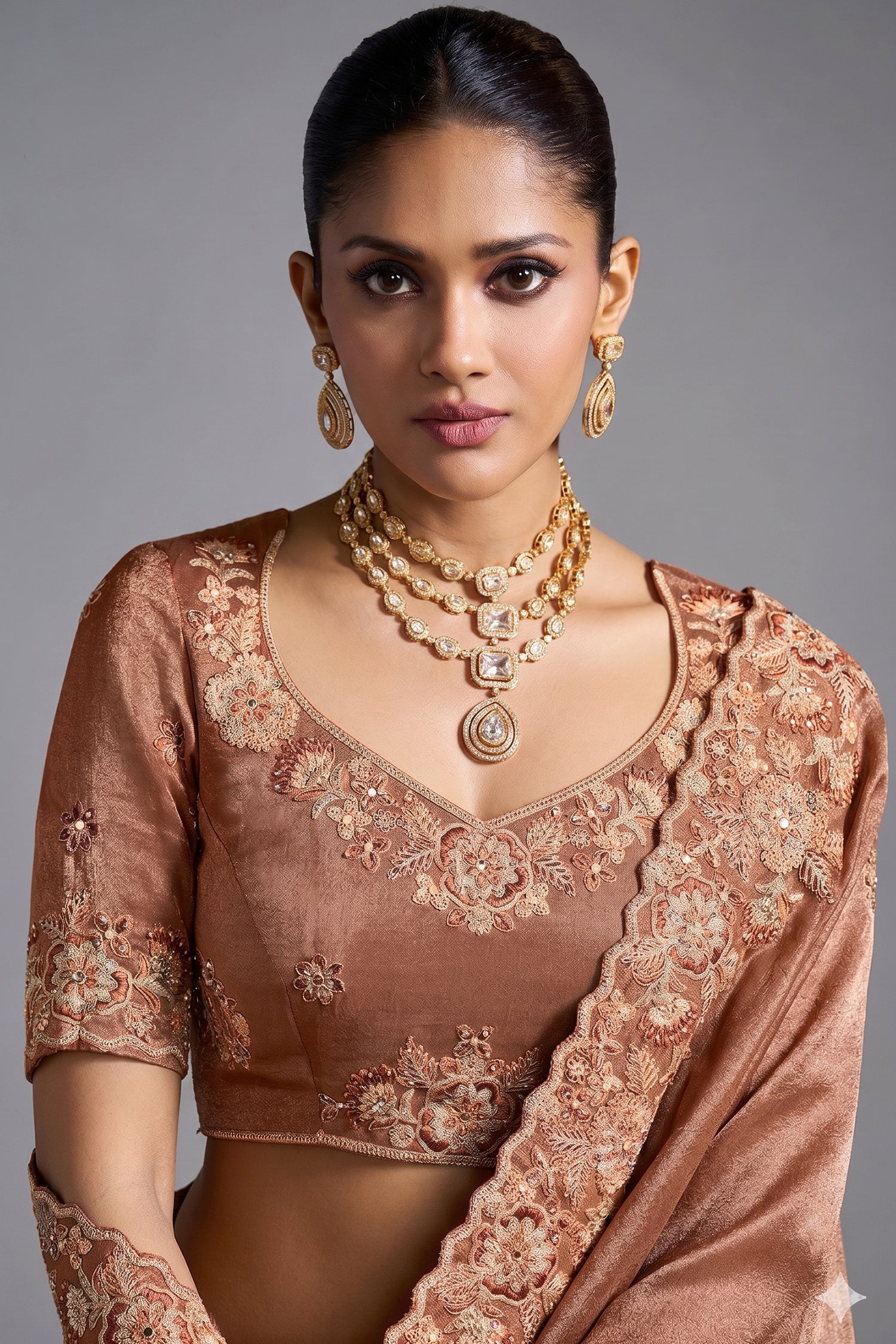 Brown Tissue Silk Saree with Embroidery Work Secondary image