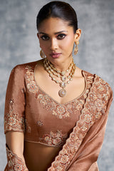 Brown Tissue Silk Saree with Embroidery Work