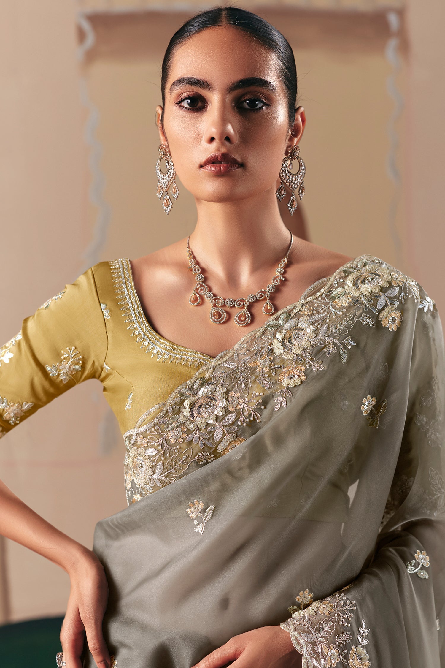 Grey Glass Tissue Saree with Sequin Beaded Motif - grey saree