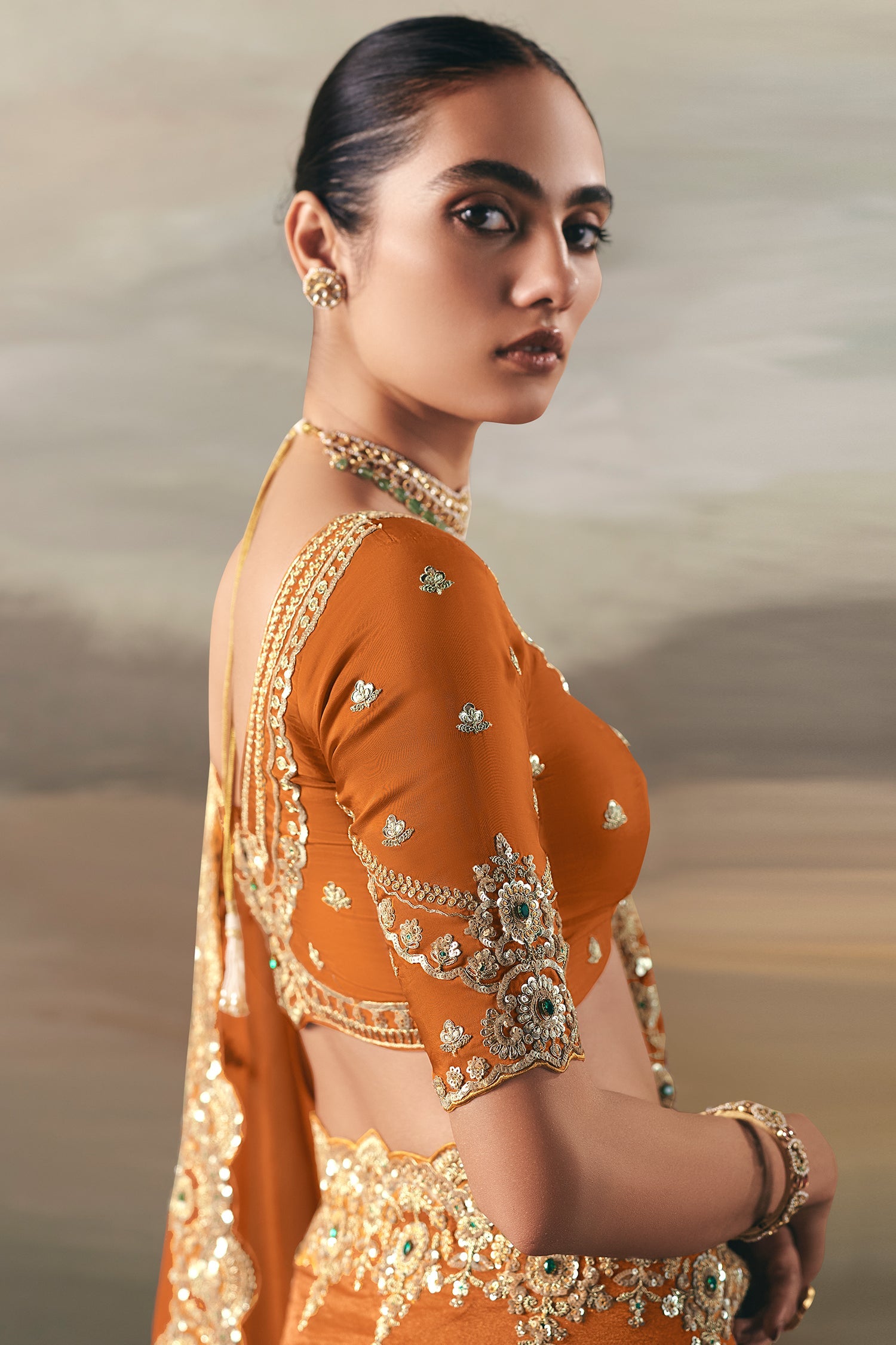 Orange Tissue Saree with Sequin and Embroidered Border - red saree embroidered