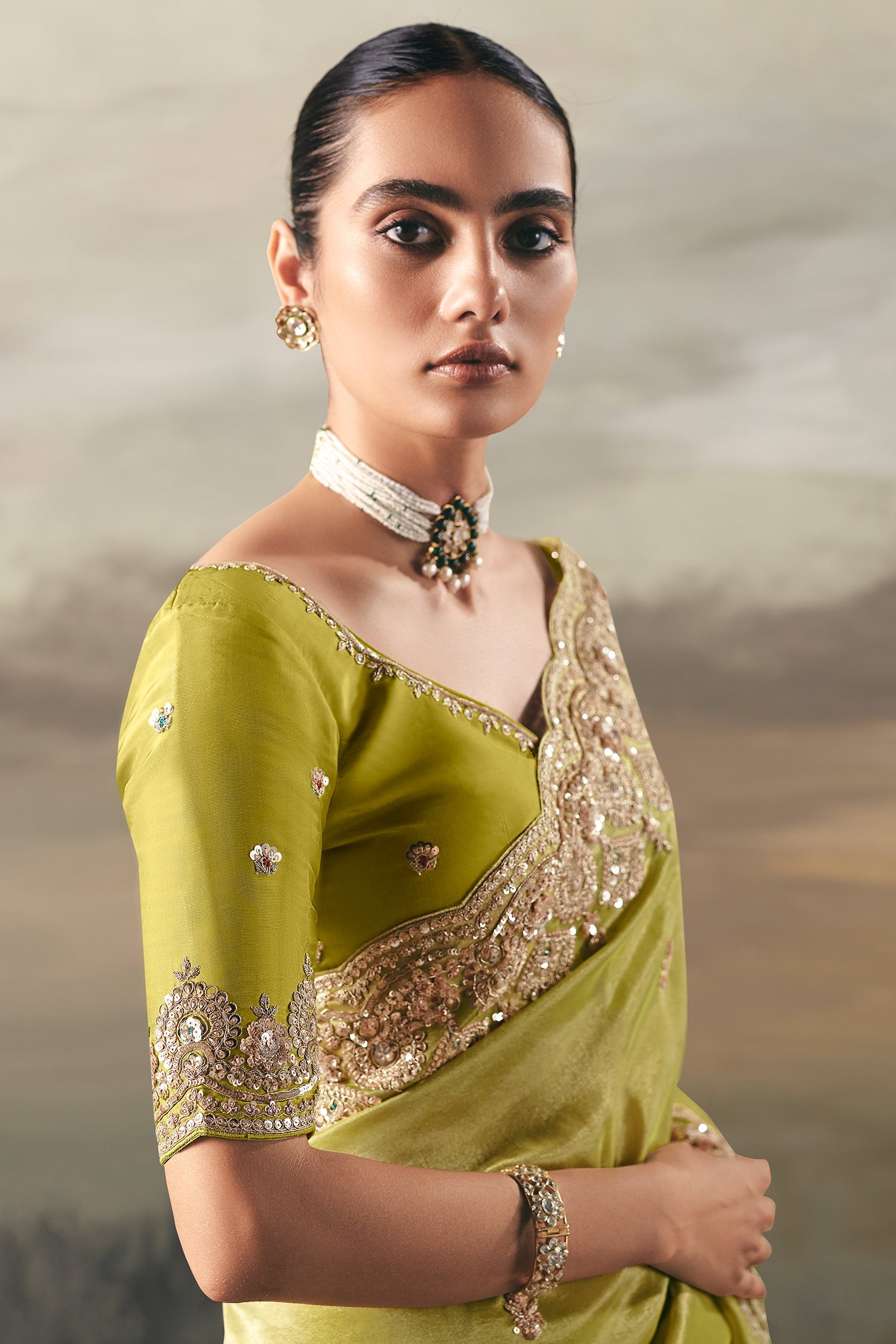 Green Tissue Saree with Sequin and Embroidered Border - red saree embroidered