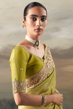 Green Tissue Saree with Sequin and Embroidered Border - red saree embroidered