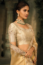 Rich Golden Beige Silk Saree with Embroidered Border - red silk saree embroidered