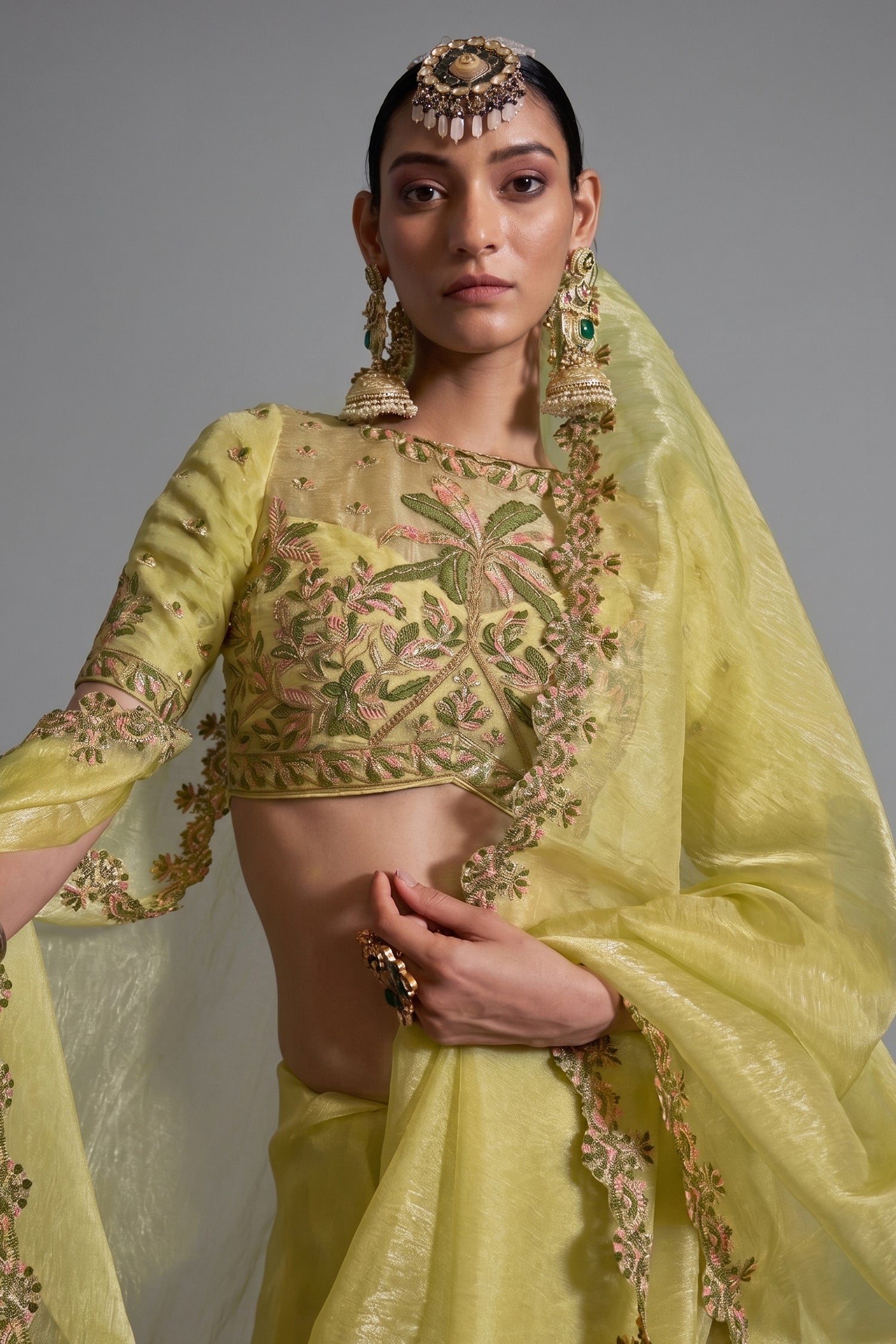 Olive Gold Tissue Saree with Embroidered Scalloped Border Secondary image