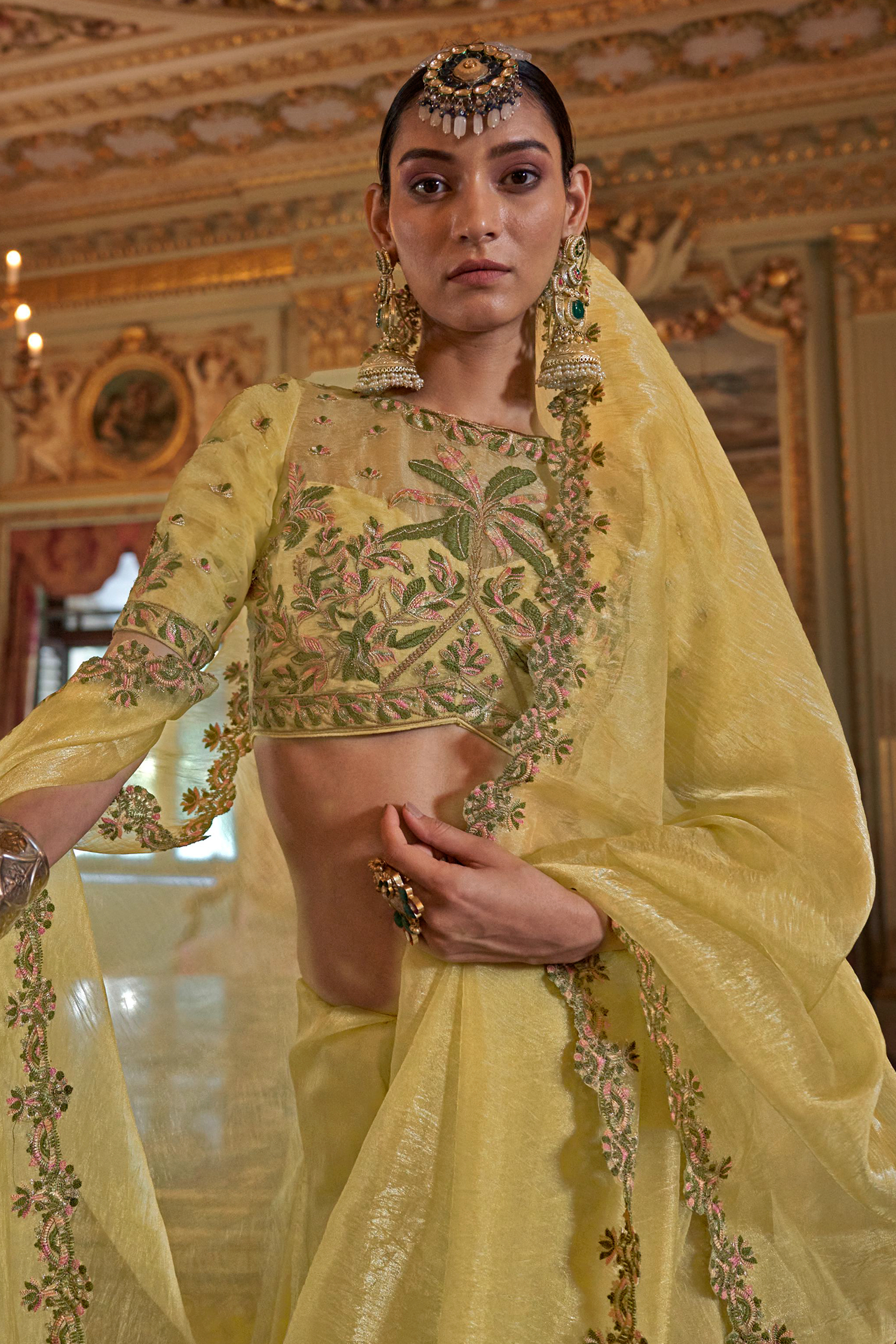 Olive Gold Tissue Saree with Embroidered Scalloped Border