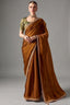 Rich Bronze Brown Tissue Saree Showcasing Embroidery