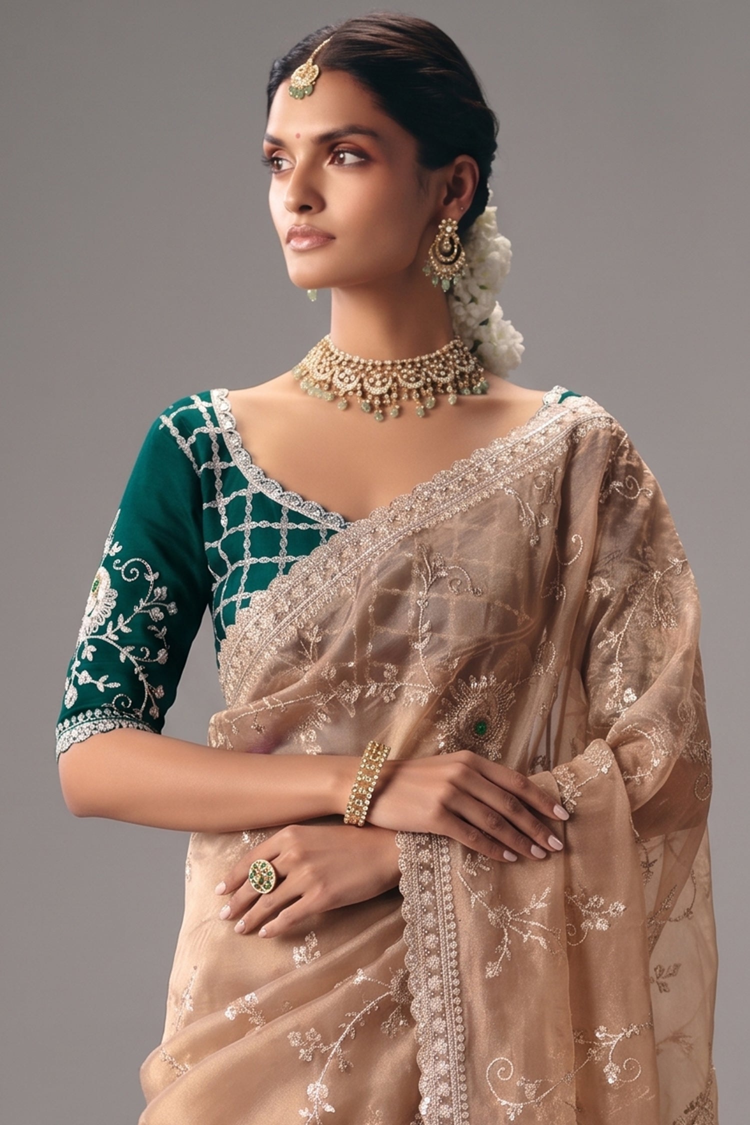Dusty Rose Brown Saree with Floral jaal Embroidery & Sequin Buttis Secondary image