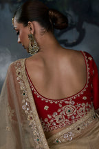 Ivory Beige Organza Designer Saree with Embroidered Border