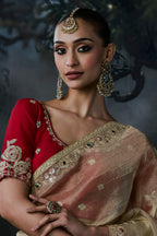 Ivory Beige Organza Designer Saree with Embroidered Border