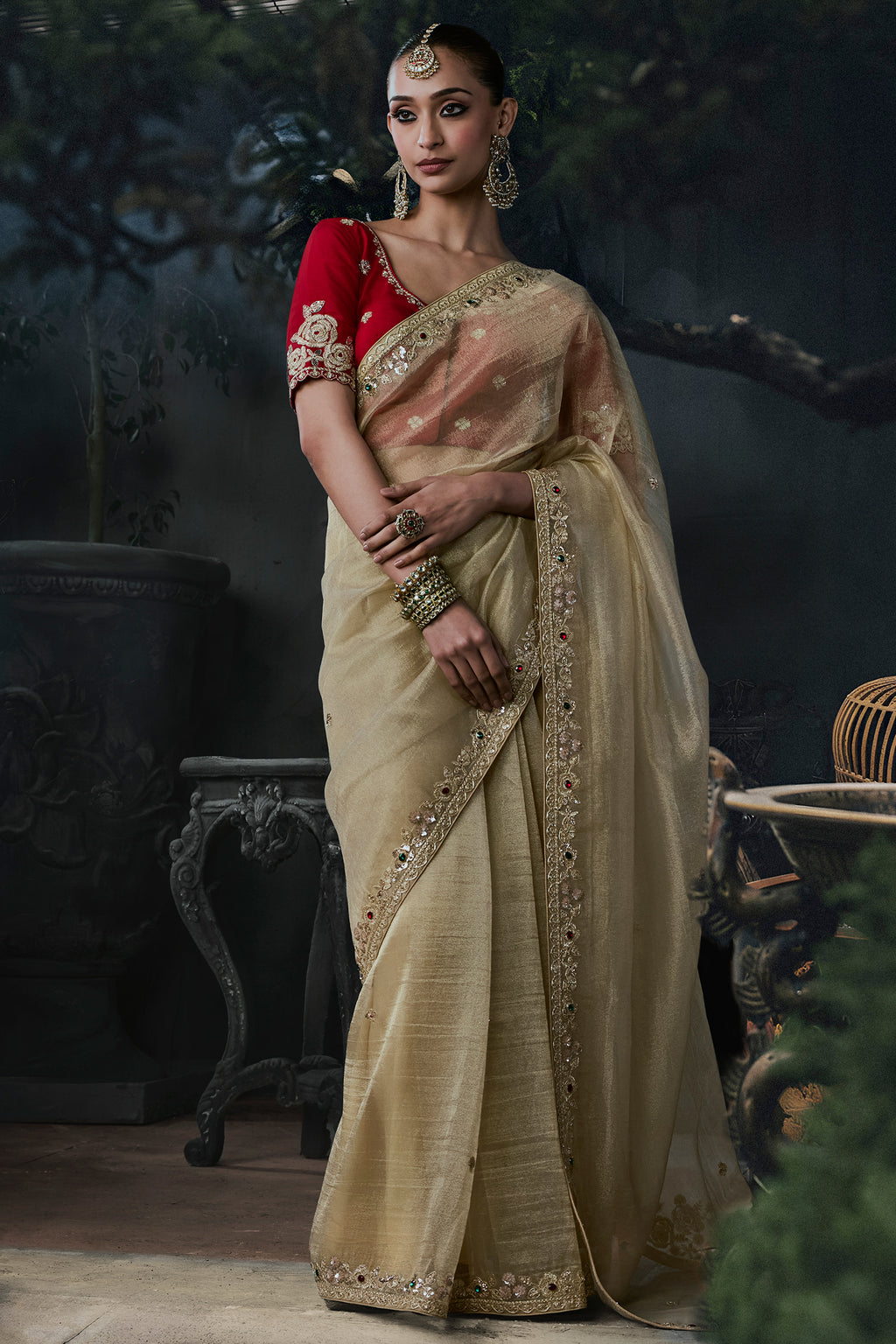 Ivory Beige Organza Designer Saree with Embroidered Border