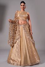 Ivory Tissue Silk and Banarasi Brocade Lehenga Choli with Jaal Dupatta